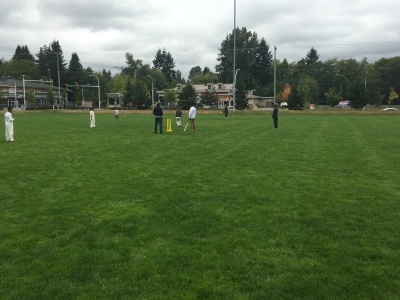 junior cricket image 2